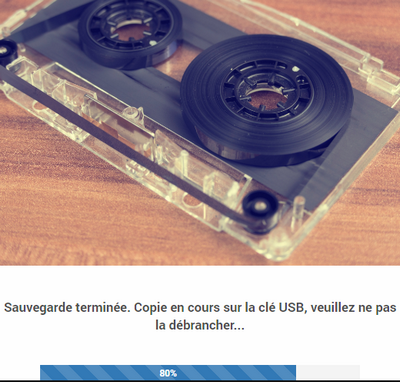 Copie de la sauvegarde en la memoria USB